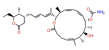 Leiodermatolide B